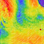 Hawaii Passage Day 7: A Coffee Tale